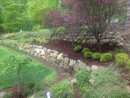 landscaping 3